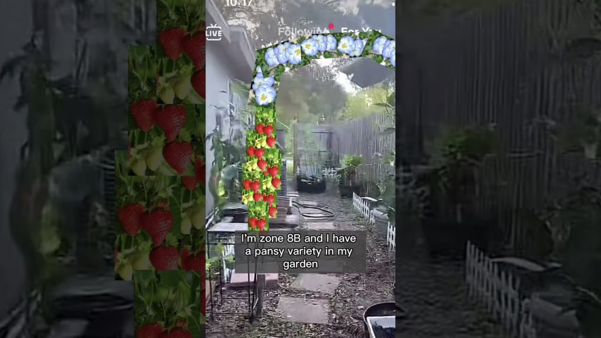 Garden trellis ideas for your fairytale garden #gardendesign #growyourownfood #trellisdesign