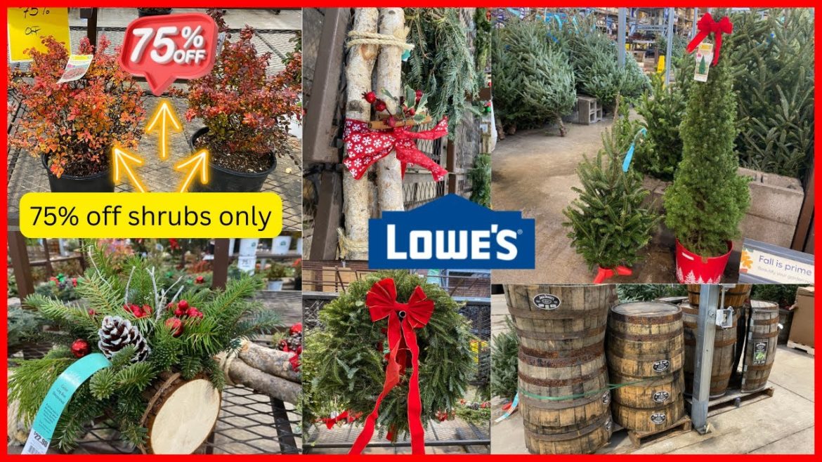 😳LOWES 75% OFF SHRUBS |  LIVE CHRISTMAS TREES SWAGS WREATHS LOGS BARRELS | SHOP WITH ME LOWES❤️
