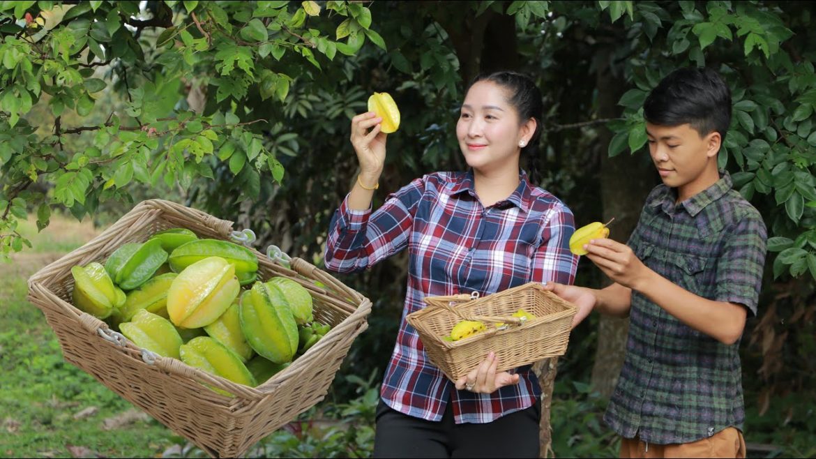 Fresh star fruit in my country - Pick star fruit to cook juicy beef salad at home | Fruit collecting