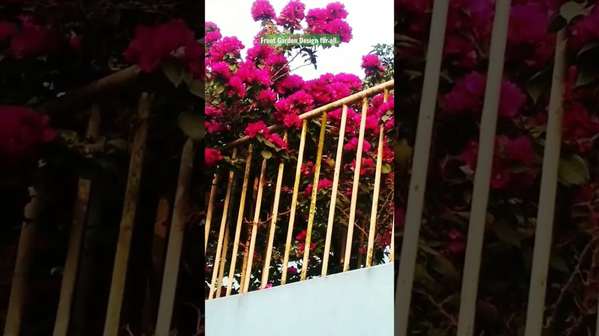Front Garden Design Ideas for all. #shorts #share #subscribe