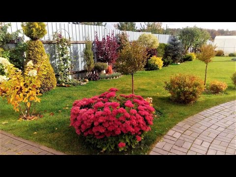 🌺Примеры красивого садового дизайна / Garden ideas 🌺Примеры красивого садового дизайна / Garden ideas