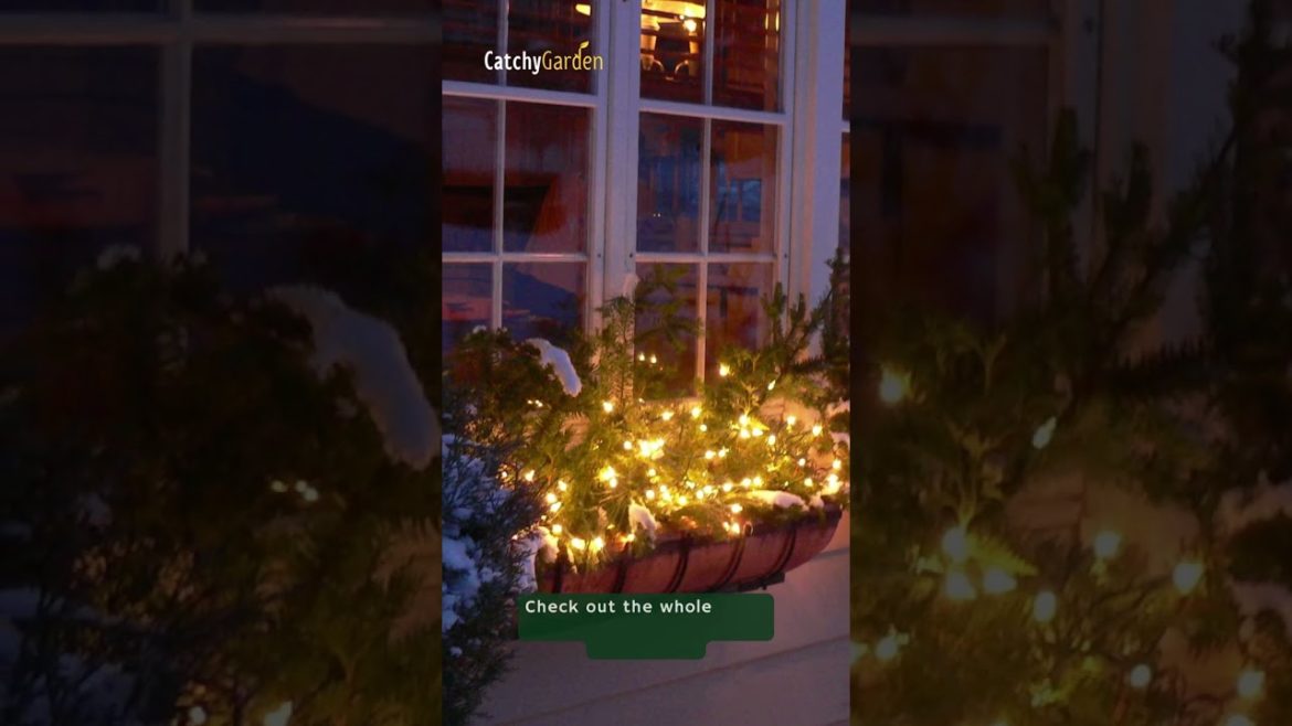 20+ Easiest Christmas Window Box Idea To inspire Your Neighbors 🎉🎄 // #short #shorts