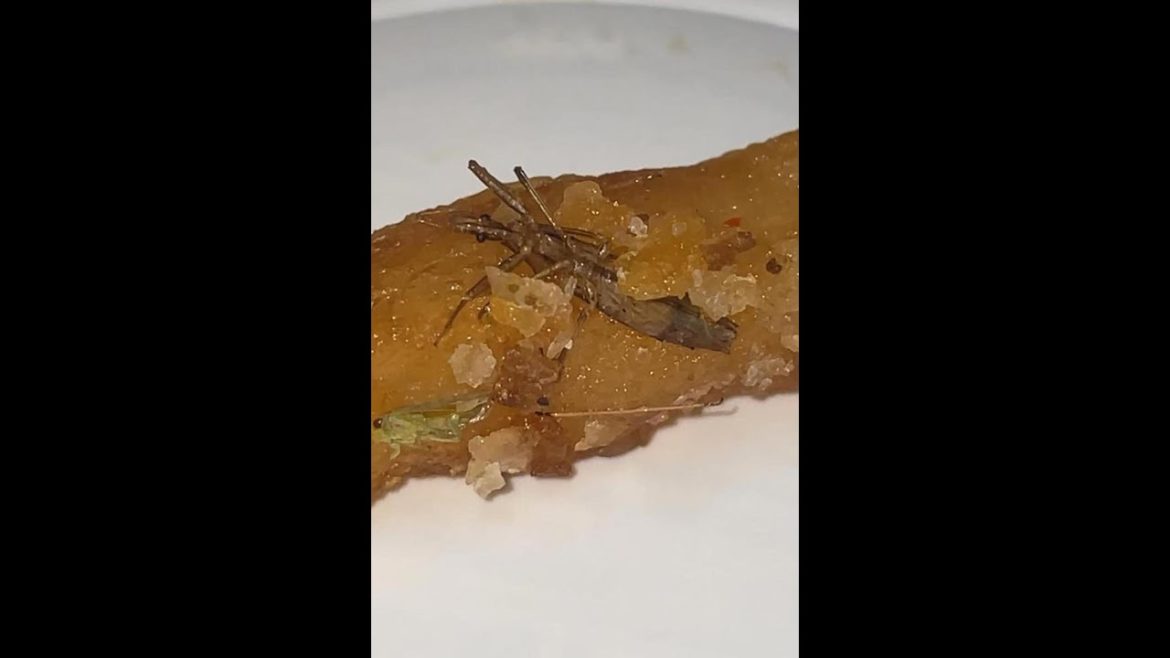 THEY'RE NOT EVEN TRYING TO HIDE IT ANYMORE THEY'RE NOT EVEN TRYING TO HIDE IT ANYMORE