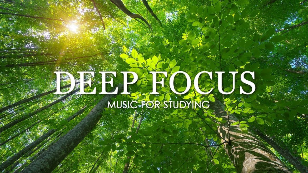 Deep Focus Music To Improve Concentration - 12 Hours of Ambient Study Music to Concentrate #377
