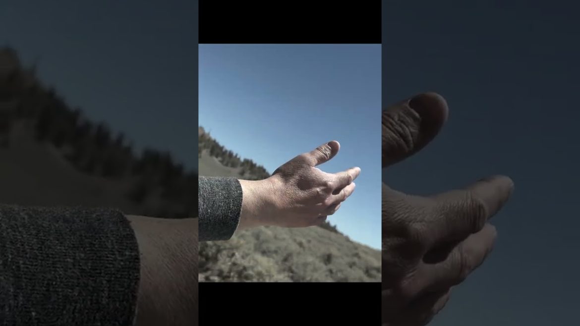 Wild-inspired ceramics #shorts