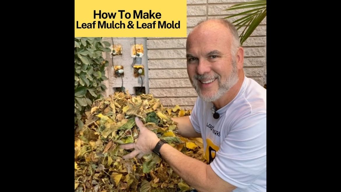 How To Make Leaf Mulch & Leaf Mold