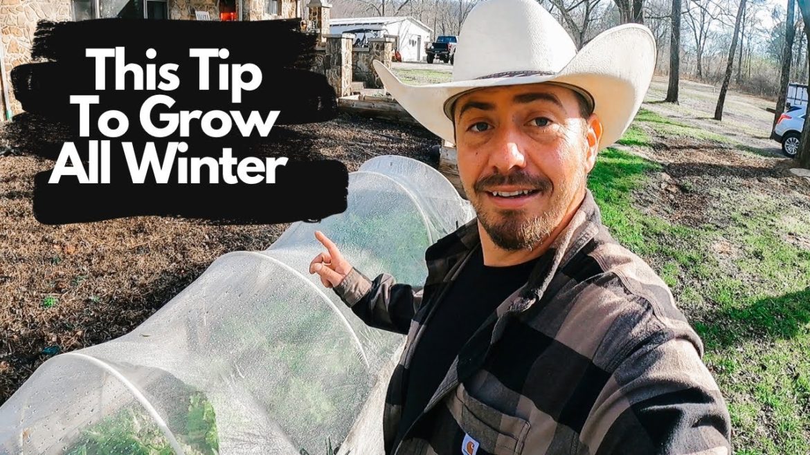 Winter Gardening Tips: How to Keep Your Garden Thriving in the Cold Winter Gardening Tips: How to Keep Your Garden Thriving in the Cold