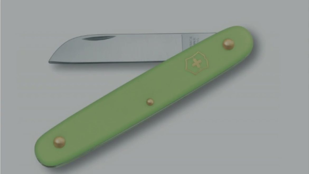 How to choose a gardening knife How to choose a gardening knife