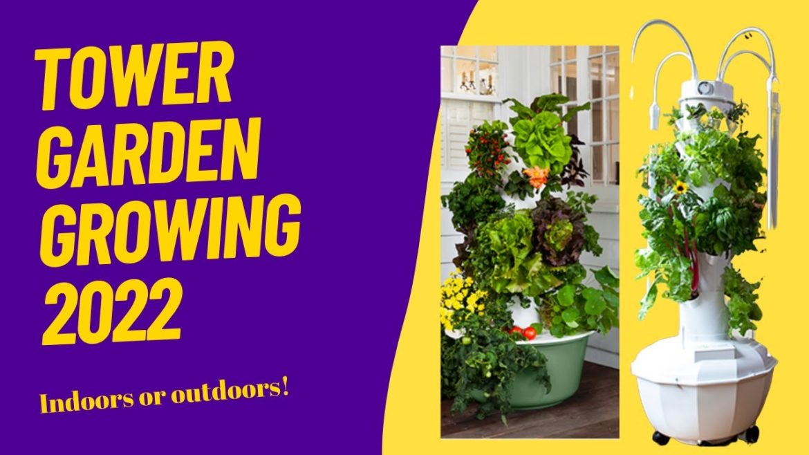 Buy Tower Garden | Tower Garden Growing 2022 #towergarden Buy Tower Garden | Tower Garden Growing 2022 #towergarden