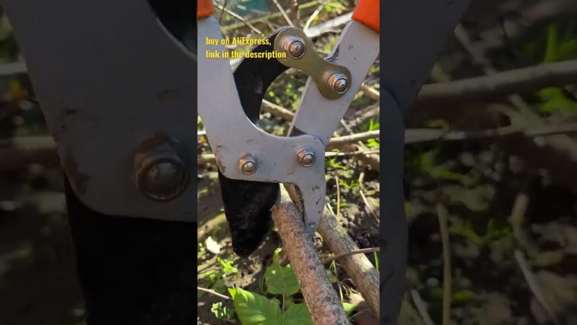 Good Gardening Tools Equipment