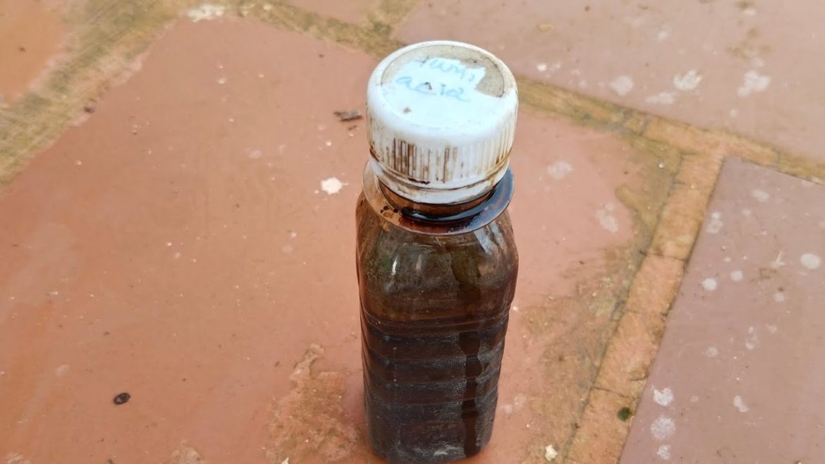 புயலில் கருகிய செடியை மீட்டு எடுக்க அற்புதம் செய்யும் டானிக் #tips #plants #garden #humicacid