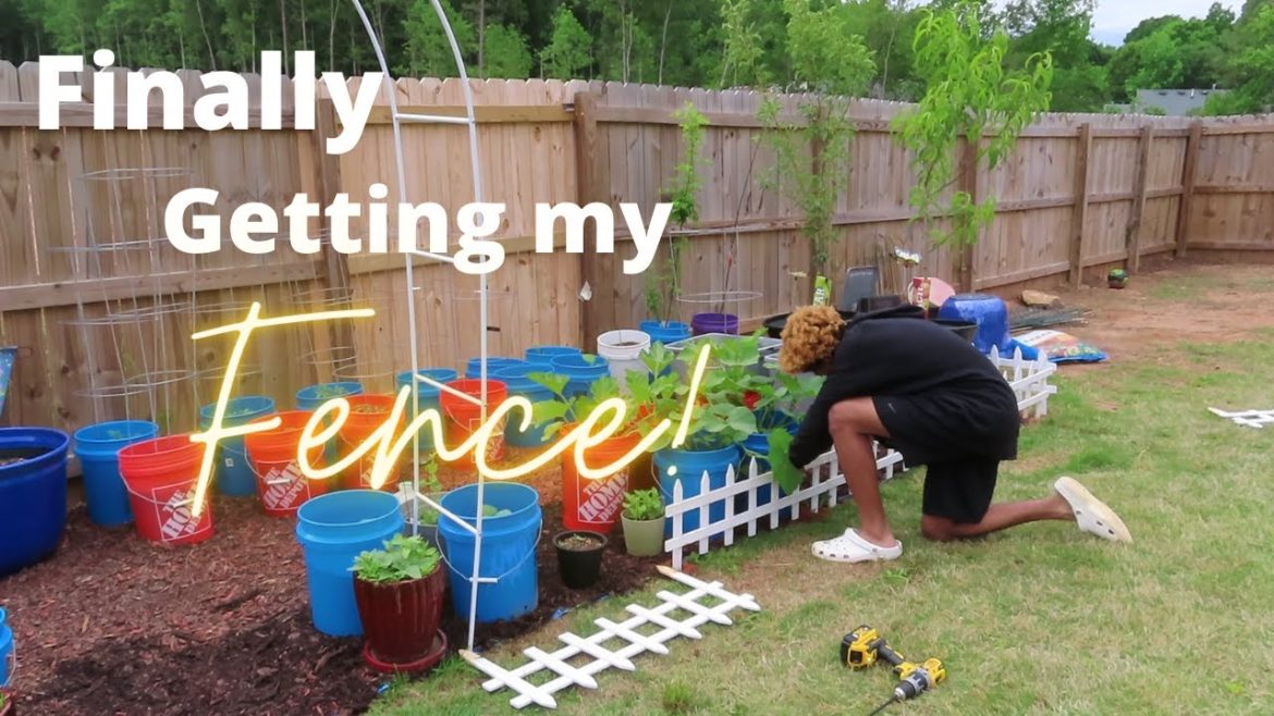 Pulling it all Together! | Finally Getting My Fence! | Backyard Garden Transformation Pulling it all Together! | Finally Getting My Fence! | Backyard Garden Transformation