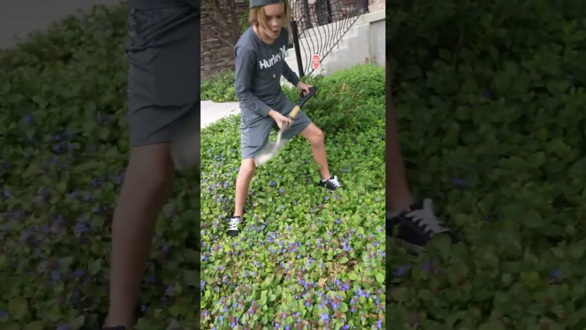 Finding Hidden Treasure #shorts