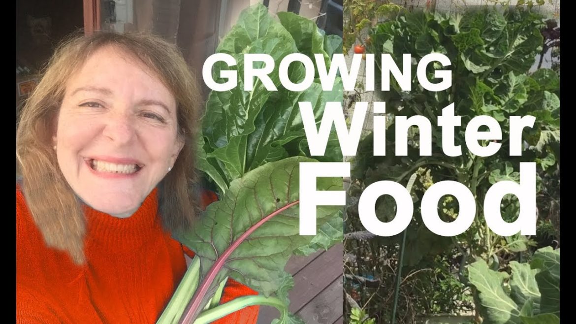 Garden Tour Vegetables Kale Tomatoes Papaya Container Gardening Woodchips