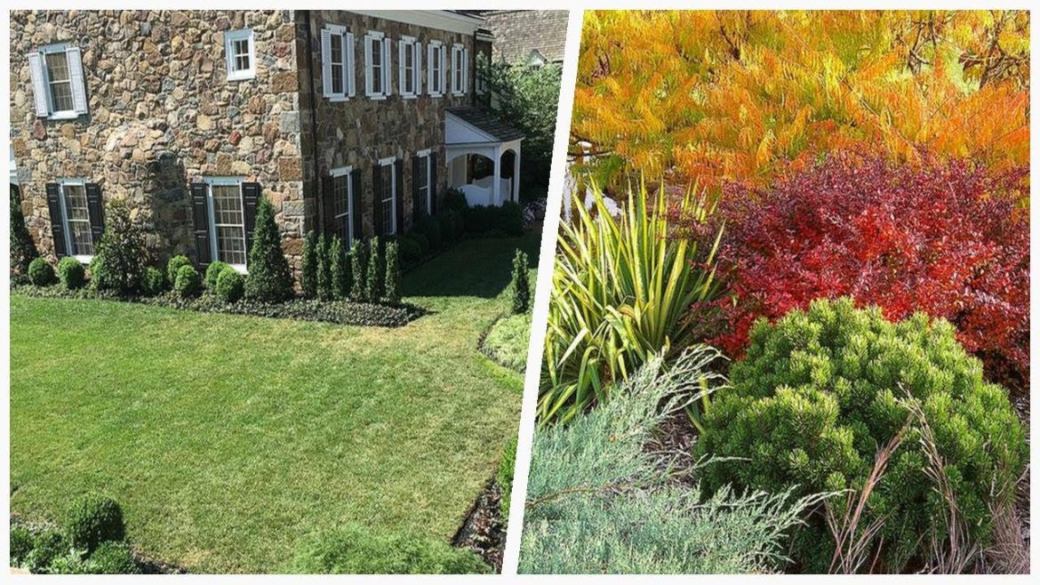 75 Beautiful Backyard And Rooftop Landscaping Design Ideas #�1750 � 75 Beautiful Backyard And Rooftop Landscaping Design Ideas #�1750 �