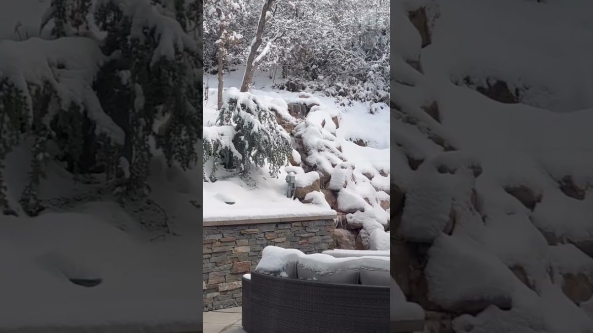 Winter Wonder Landscaping - Big Rock Premium Landscaping And Design