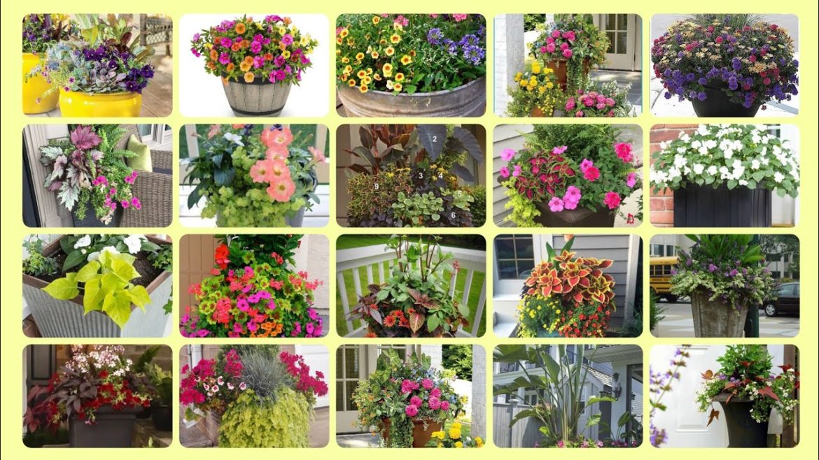 creative sun fall pot plants ideas//amazing landscaping design//#decorlife #garden #potplants