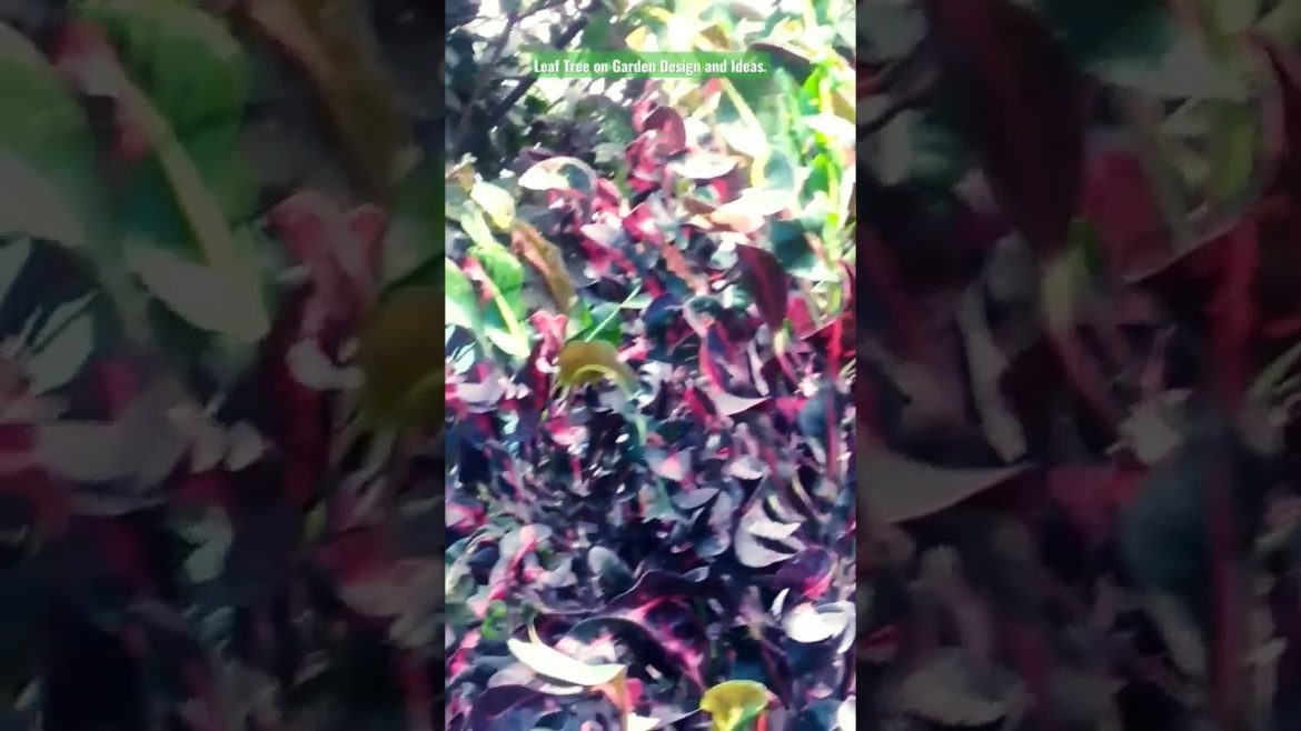 Leaf Tree on Garden Design and Ideas for all. #shorts #share #subscribe #status
