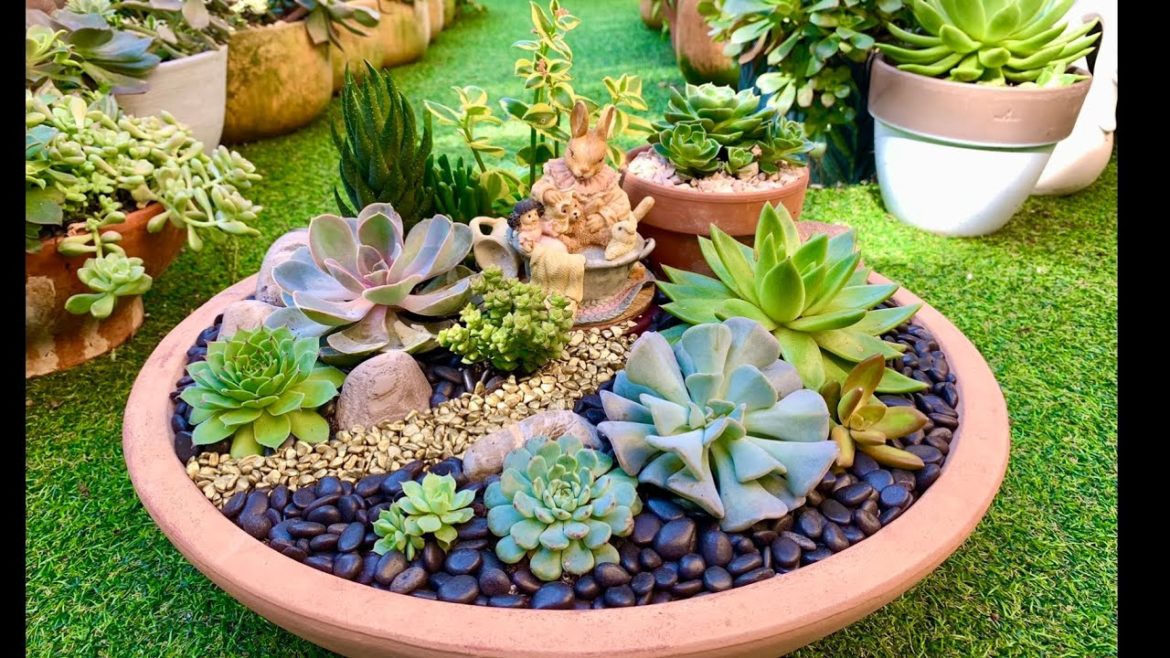 Succulent Arrangement in a repurposed Terracotta Bird Bath