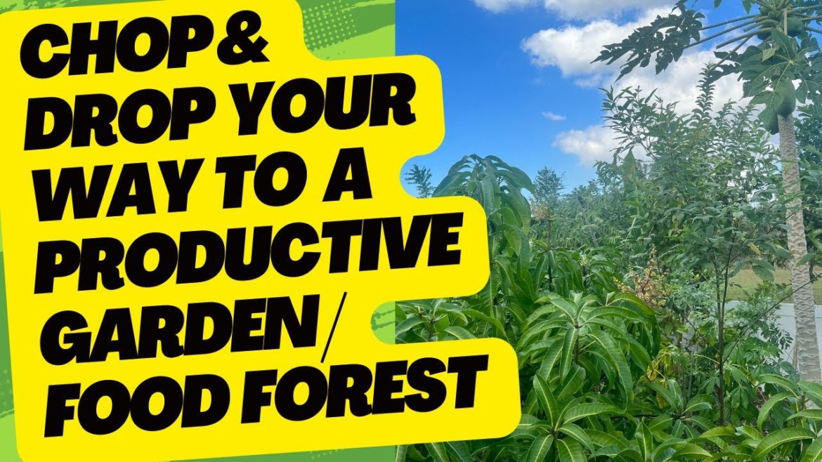 Chop & Drop Your Way To A Productive  Garden / Food Forest