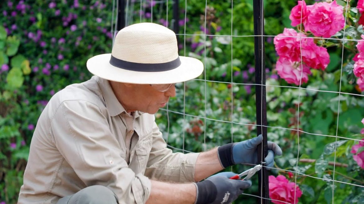 The Garden Gurus - Outdoor Garden Cool Ideas