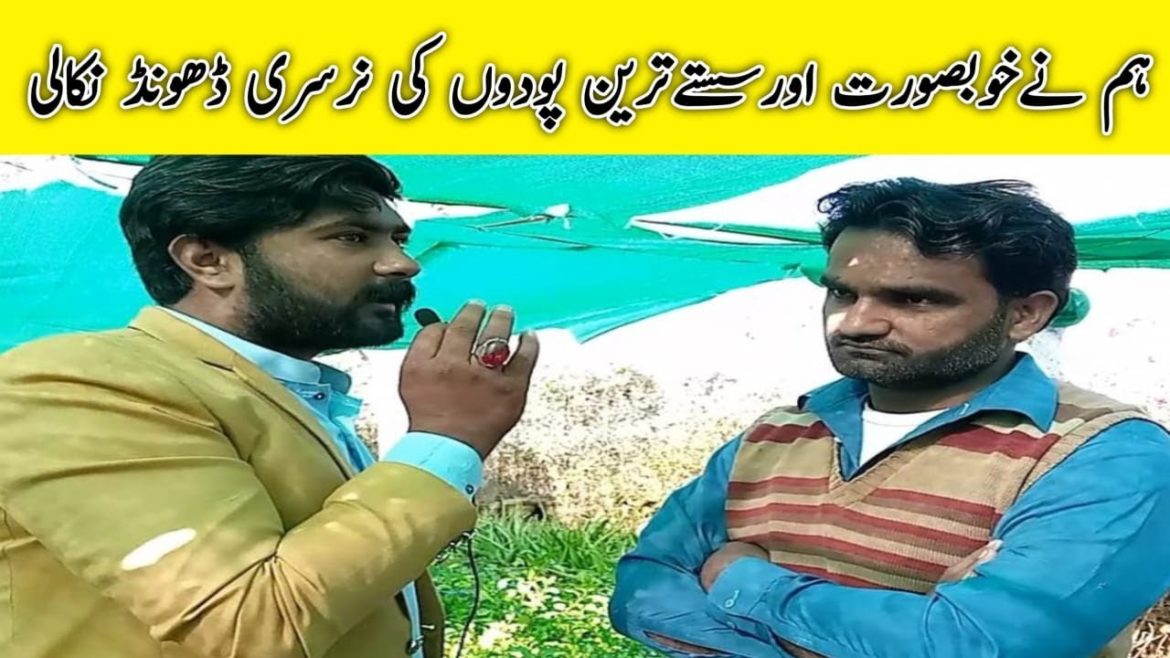 garden plantation ideas | Free Garden Design Ideas and Plans | #NB24ideas garden plantation ideas | Free Garden Design Ideas and Plans | #NB24ideas