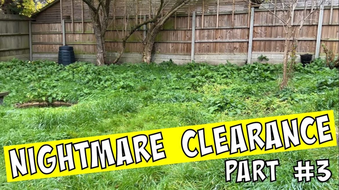 NOBODY Would Mow This NIGHTMARE Of A Yard For A Lady Who Just Had A Double Hip Replacement | PART 3