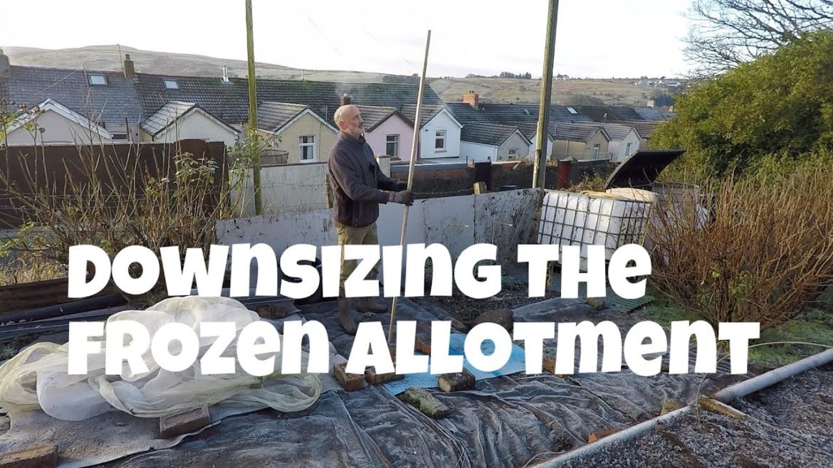 Downsizing the Frozen allotment | Allotments For Fun and Food Downsizing the Frozen allotment | Allotments For Fun and Food