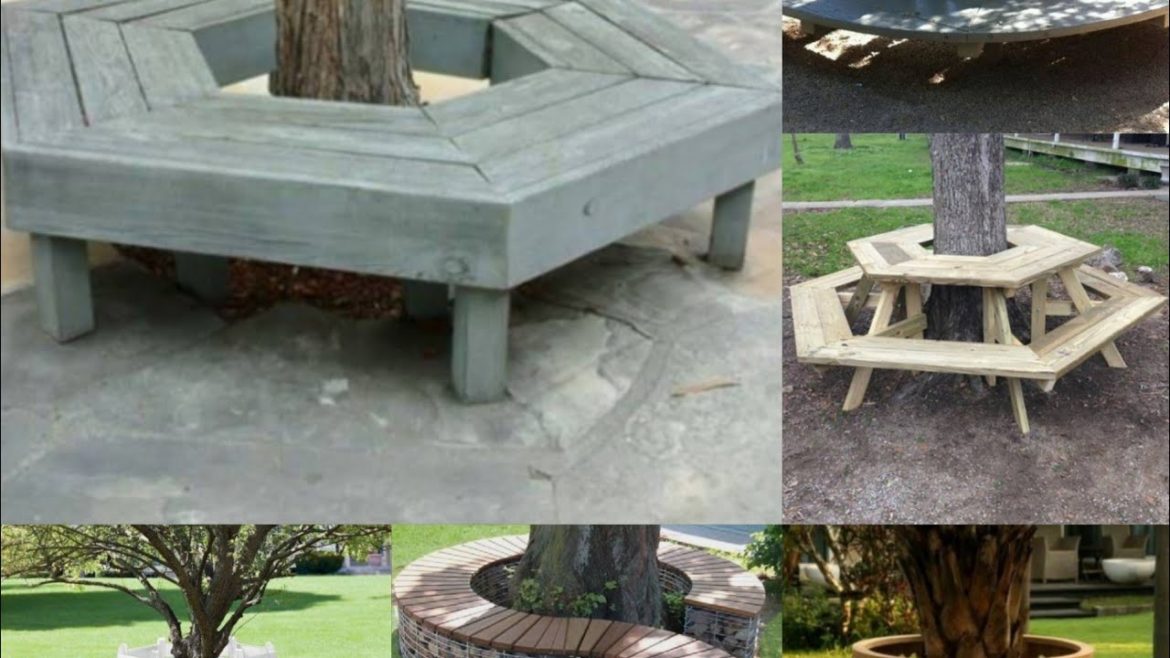 Seating arrangement around tree||Amazing ideas for seating around tree|| seating ideas in garden Seating arrangement around tree||Amazing ideas for seating around tree|| seating ideas in garden