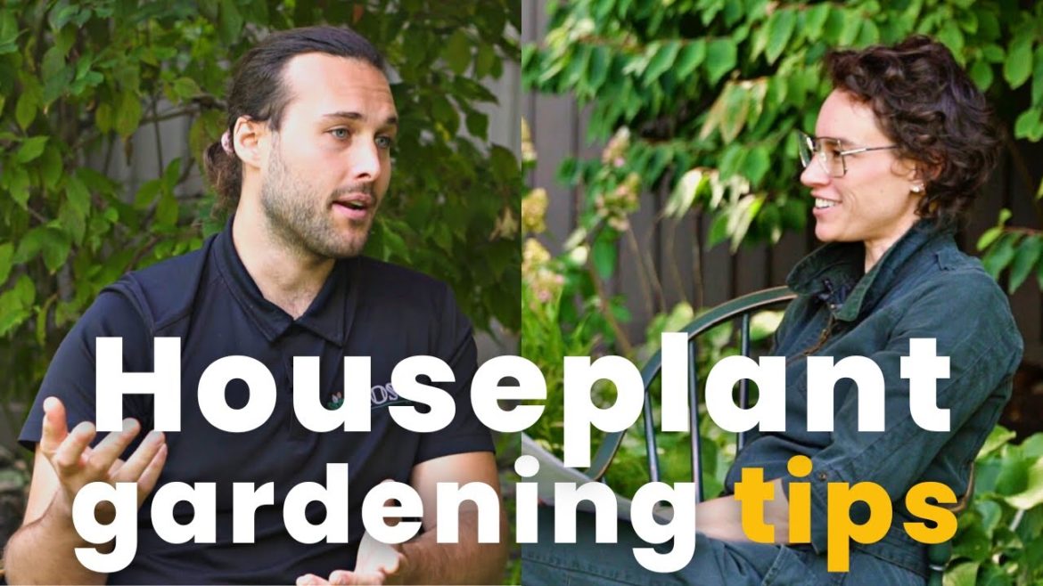 How to mix soil for indoor plants…plus houseplant FAQs! How to mix soil for indoor plants…plus houseplant FAQs!