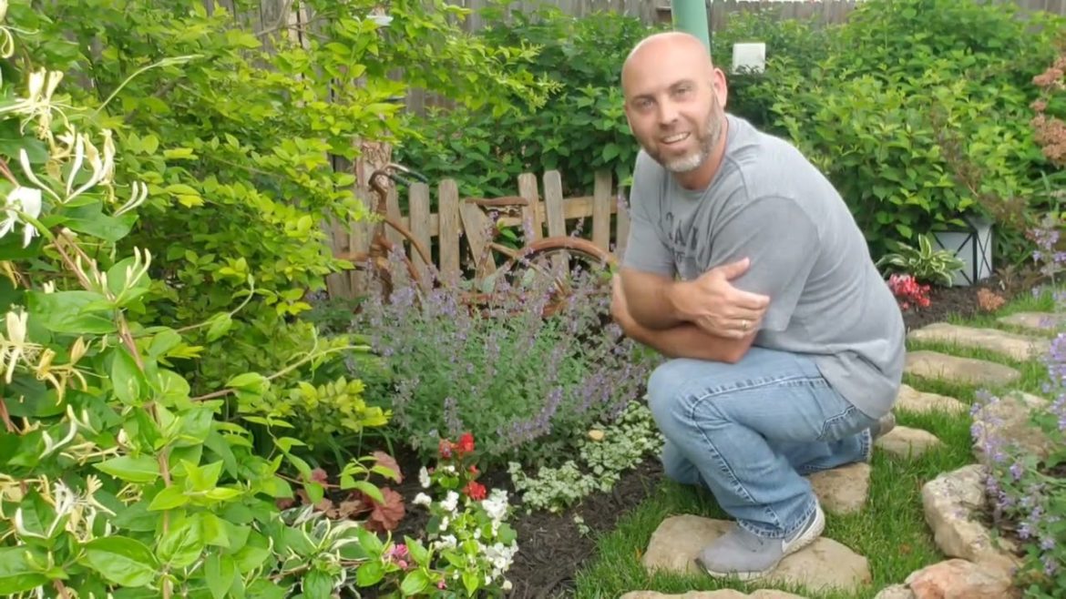 Turning Scrap Metal into a Whimsical Retreat in a Backyard Garden Space!
