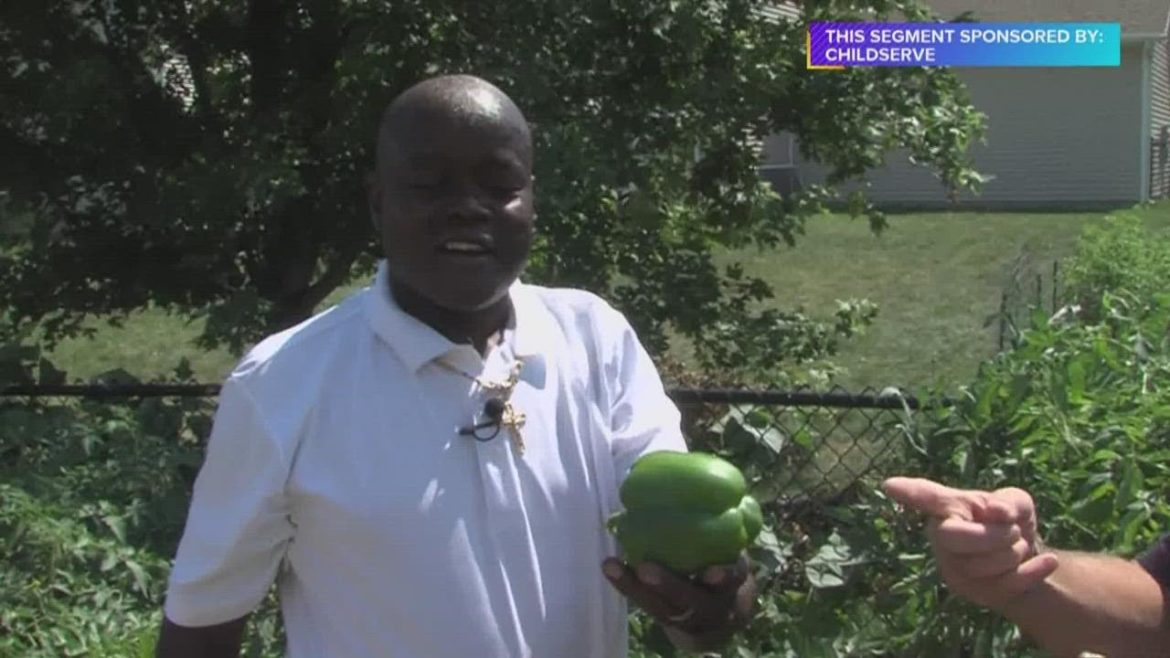 ChildServe Backyard Garden Project | Paid Content