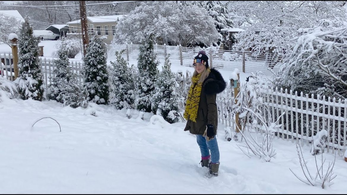 Winter Garden Do's and Don'ts || Gardening Tips for Wildlife Gardens Winter Garden Do's and Don'ts || Gardening Tips for Wildlife Gardens