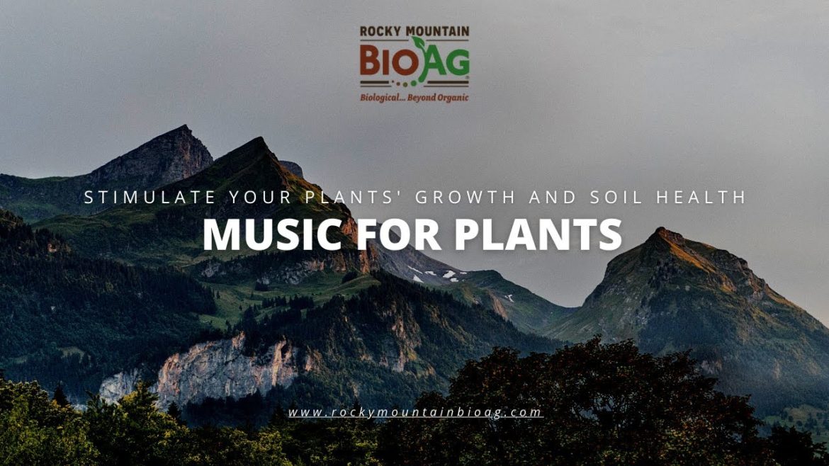 Binaural Beats: Relaxing Garden Music for Stimulating Fast Plant Growth and Soil Health | RMBA
