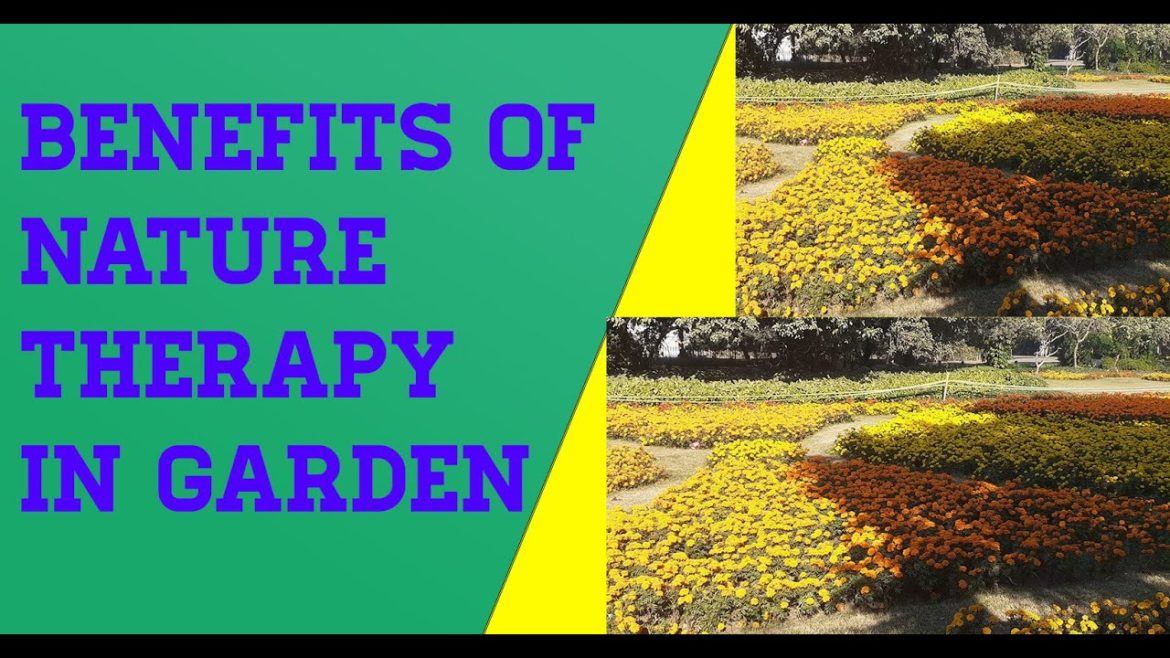 Nature Therapy | Benefits Of Nature Therapy In Garden | Health Tips | Urban kitchen gardening Nature Therapy | Benefits Of Nature Therapy In Garden | Health Tips | Urban kitchen gardening