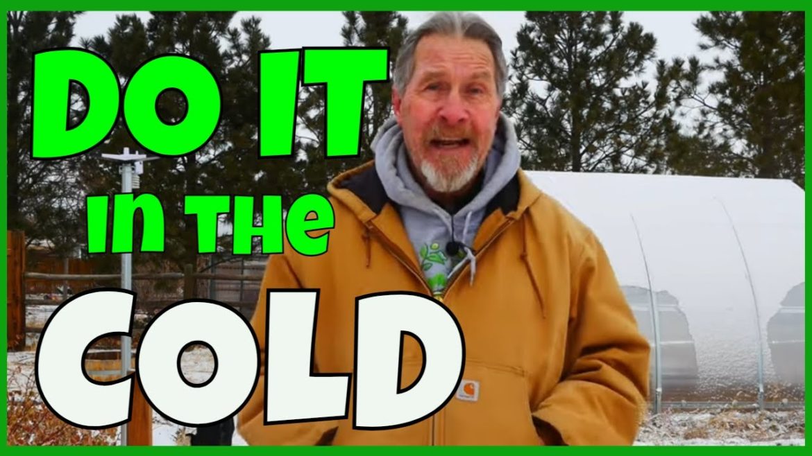 The MOST Important Gardening Task (In Winter)