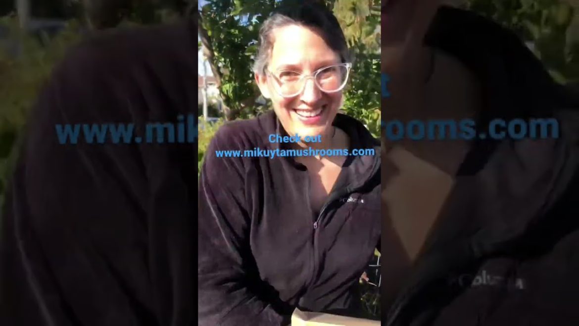 Decided to bring my son at Vallejo People’s Garden today to volunteer & meet my new friends!