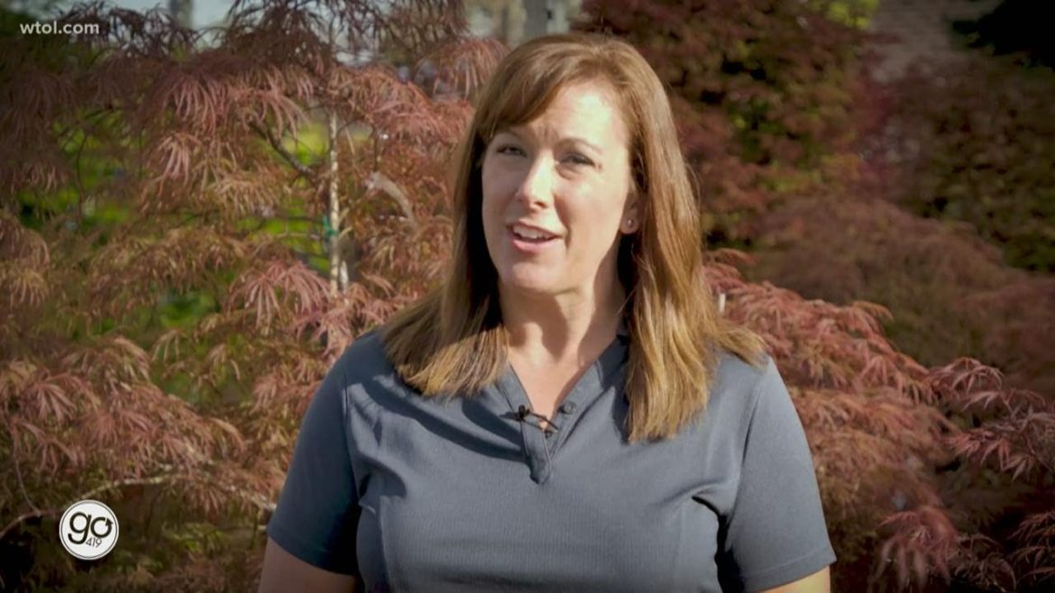 Landscaping Tips with Japanese Maples and Evergreens | Nature's Corner