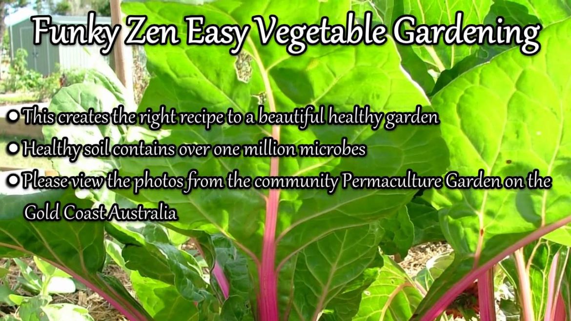 Funky Zen Easy Vegetable Gardening