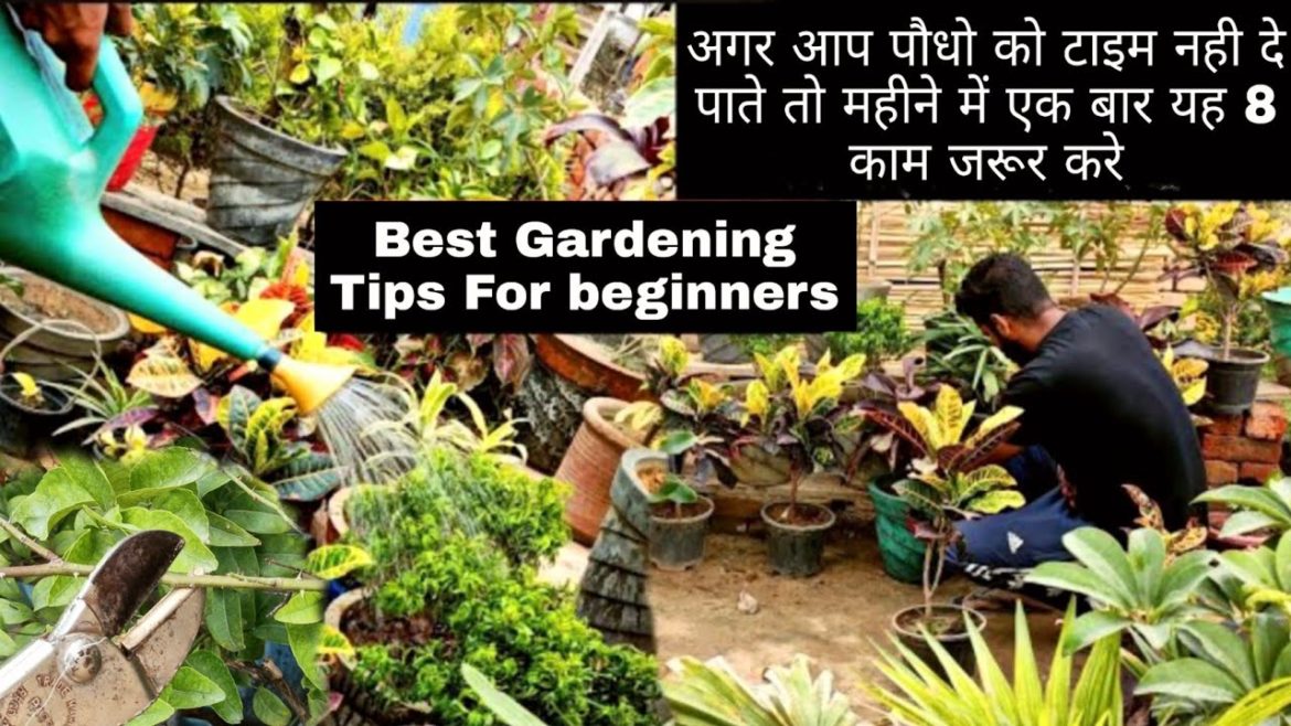 Best Gardening Tips For beginners ।। बस महीने में यह 8 काम जरूर करे पौधे की ग्रोथ रोक नही पाओगे
