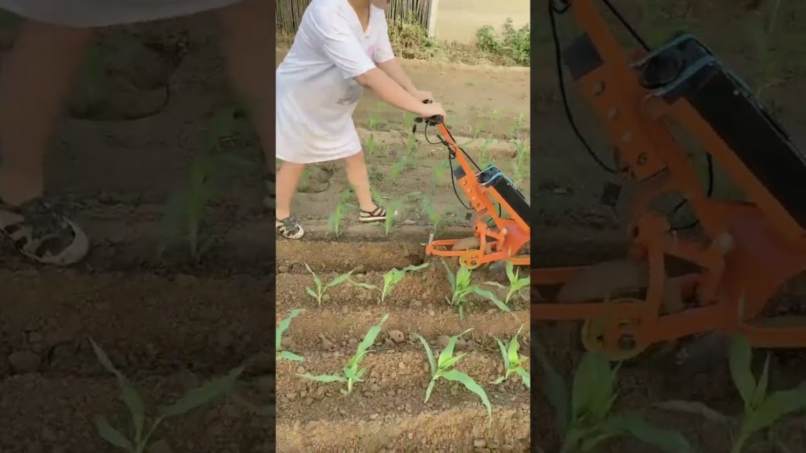 Best equipment farming #shorts