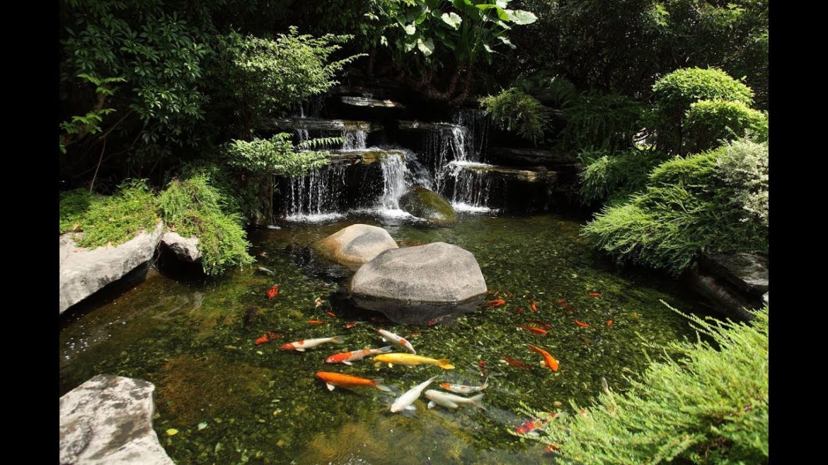 Koi Fish Pond Garden Design Ideas Koi Fish Pond Garden Design Ideas