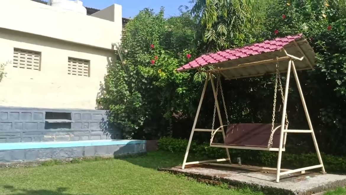 My Home Garden🌿 - How to Start and Grow a Garden from Scratch