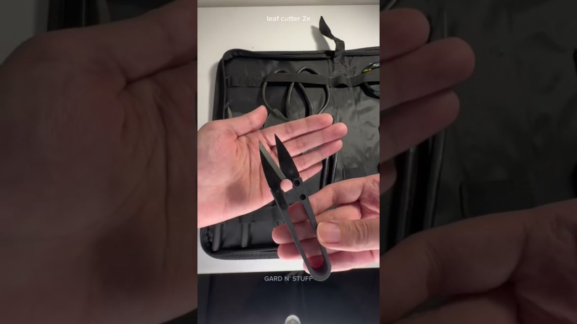 what’s inside the bag?