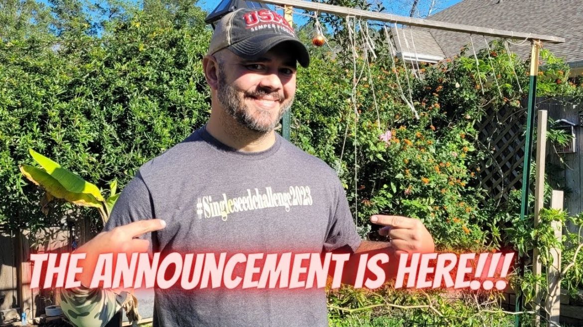 #Singleseedchallenge2023 Announcement is Here || Down-Home Backyard Gardening