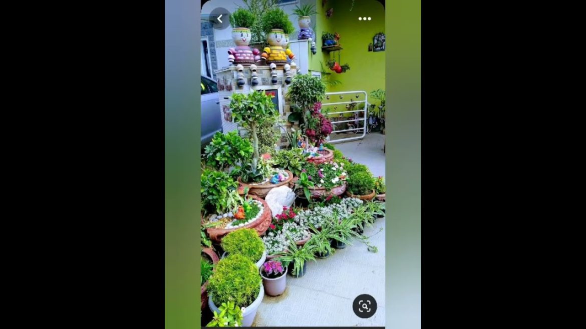 SMALL GARDEN IDEAS | HOME DECORATION WITH PLANTS | INDOOR GARDEN DESIGNS