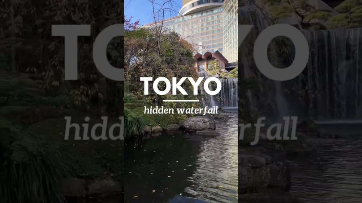 #Tokyo hidden gem π Waterfall in Japanese garden in the middle of the city ποΈ Free things in Tokyo #Tokyo hidden gem π Waterfall in Japanese garden in the middle of the city ποΈ Free things in Tokyo