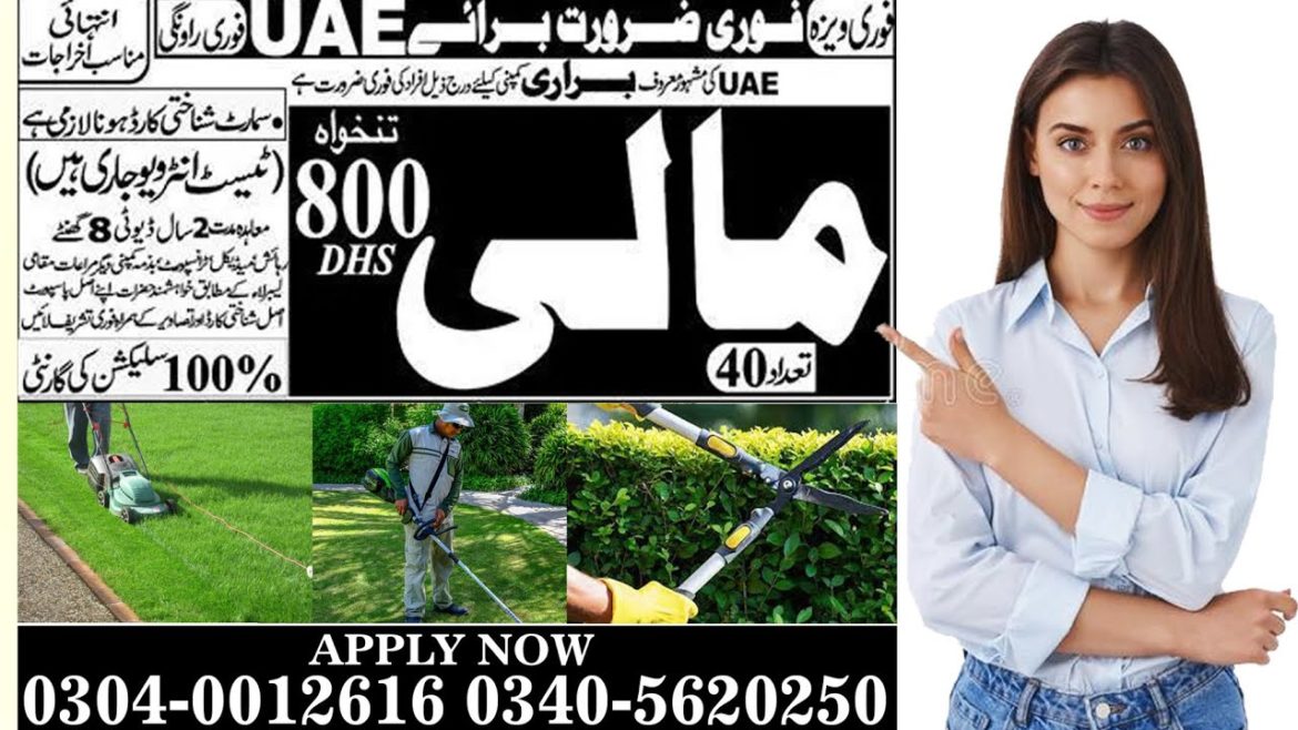 job in Dubai urgent required Dubai gardener job 2022| gardening job|Dubai garden job in Dubai urgent required Dubai gardener job 2022| gardening job|Dubai garden
