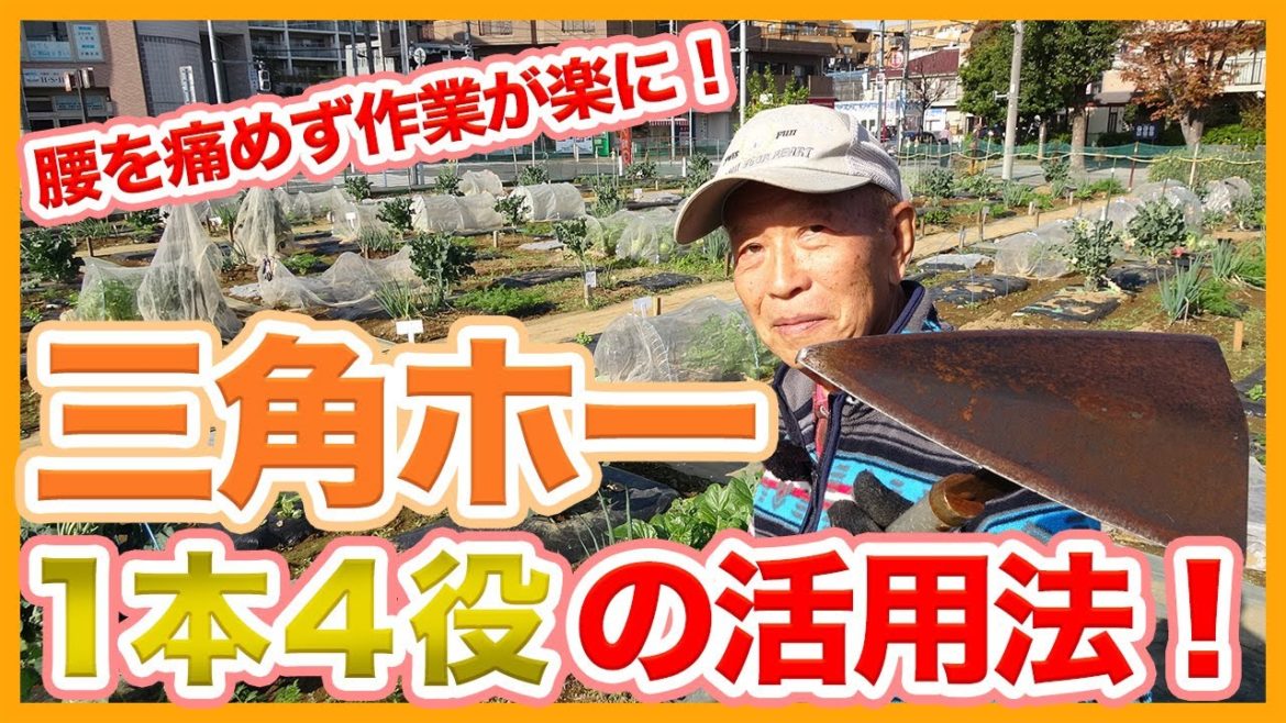 家庭菜園や農園栽培で1本4役の便利道具!三角ホーー!腰を痛めず作業が楽になる活用法を徹底解説!How to use a triangular hoe without hurting your back 家庭菜園や農園栽培で1本4役の便利道具!三角ホーー!腰を痛めず作業が楽になる活用法を徹底解説!How to use a triangular hoe without hurting your back
