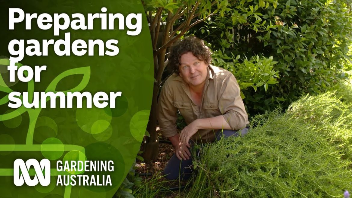 How to make sure your garden thrives over summer holidays | Gardening Hacks | Gardening Australia How to make sure your garden thrives over summer holidays | Gardening Hacks | Gardening Australia